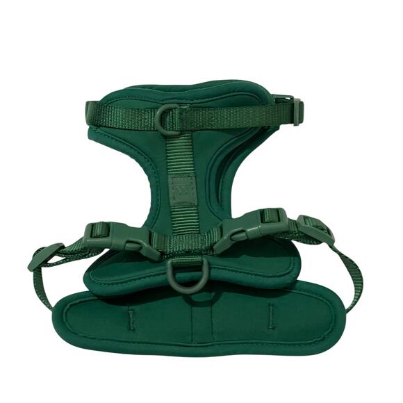 Wild One Adjustable Cushioned Dog Harness - Spruce - Small - Picture 2 of 11